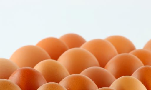 補腦快 想補腦就吃這5款食物