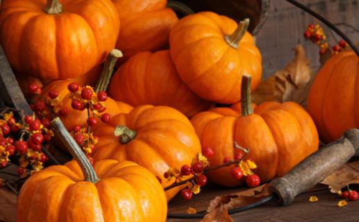 養胃護胃在飲食上遵循以下4原則 這9種食物最養胃