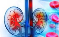 養生學會注重腎臟保養 應避免日常中傷腎的事情