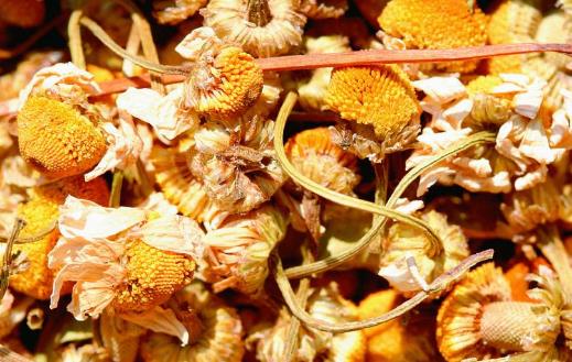 滋補(bǔ)性中藥對(duì)老年人最為適宜 適合老年人吃的中藥