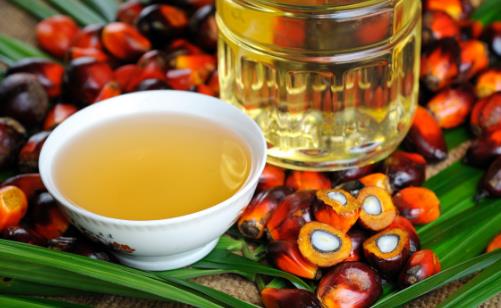 飲食不規律危害健康 十個飲食習慣讓你恢復健康