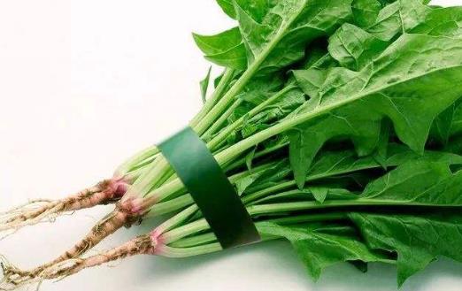 菠菜是補(bǔ)葉酸好手 菠菜的飲食宜忌