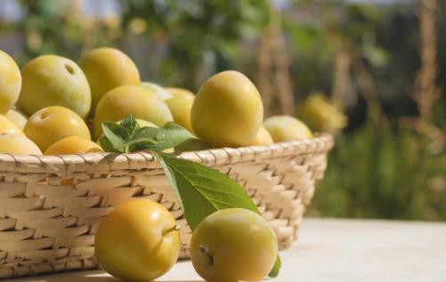 食療改善肌膚粗糙黯沉