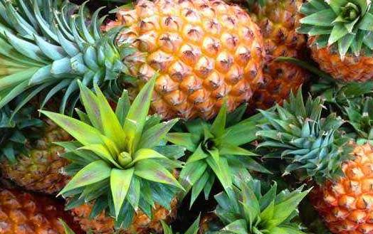 水果營養(yǎng)豐富 10種不同功效的水果 