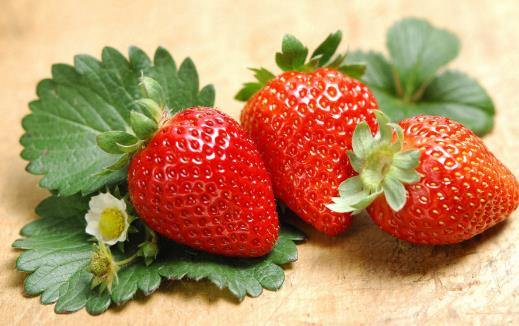 需要補(bǔ)鈣 這10種食物含鈣量驚人