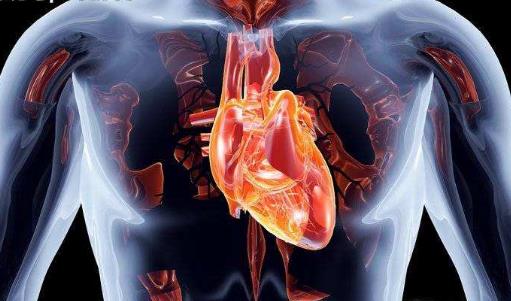 心肺好更健康更長壽 能夠促進心肺功能的運動