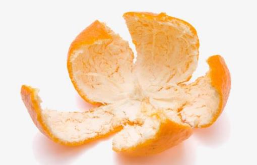 瓜皮果是防治疾病的良藥 不要隨意丟棄果皮浪費啦