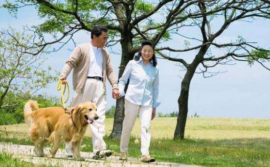 老人走路來健身 老年人步行健身的六方法