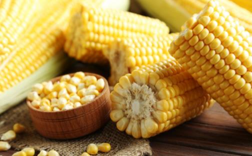 大便硬結拉不出來 便秘吃什么粗糧效果好