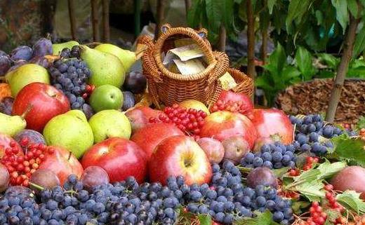 每天使用電腦傷眼睛 上班族保護(hù)眼睛的竅門