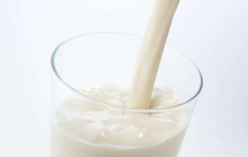 羊奶和牛奶存在的區(qū)別 關(guān)于喝羊奶的禁忌