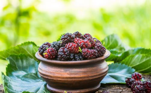 平時喝黑桑葚汁有這些好處 你一定要知道