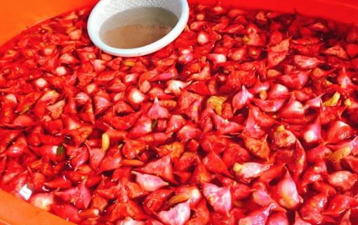 菱角安中補五臟不饑輕身 吃菱角的禁忌