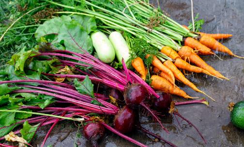 公認12條健康吃飯的黃金標準！你達標了嗎？