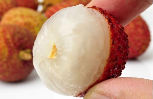 刷新 翻看 我 荔枝不僅好吃，養生功效你知道不