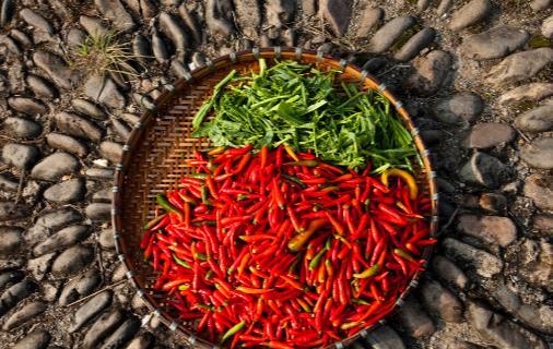 辣椒為什么有辣的,有不辣的?