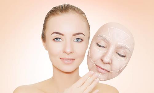 嫩膚養顏補氣通便的食物推薦