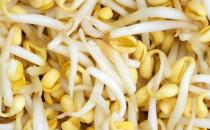 冬季感冒吃什么好 冬季感冒調理食譜推薦