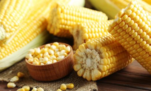 最減肥的粗糧 一周粗糧減肥食譜推薦