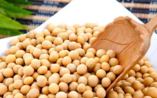 女性更年期可以吃豆腐嗎?豆制品里的大豆異黃酮,對女性