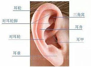 新生兒耳廓畸形能矯正嗎？看成都民生耳鼻喉醫(yī)院如何支招