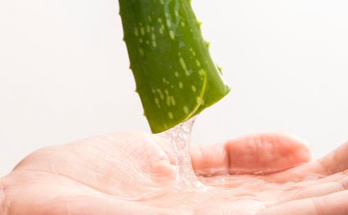 蘆薈果汁的功效與作用 蘆薈果汁的營養(yǎng)價值