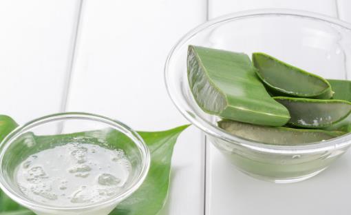 蘆薈果汁的功效與作用 蘆薈果汁的營養(yǎng)價值