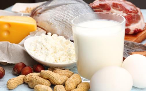 日常飲食不需要盲目補充蛋白質