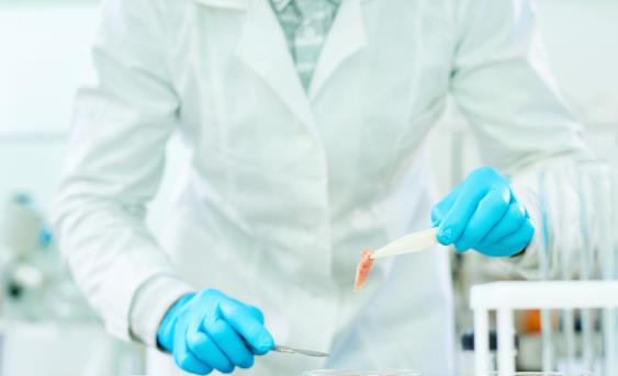 人造培根和牛排將面世 人造肉對老百姓來說到底是好事壞事