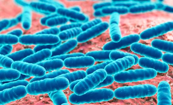 益生菌有益腸道健康 怎么吃才最好