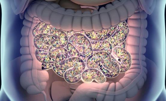 益生菌有益腸道健康 怎么吃才最好