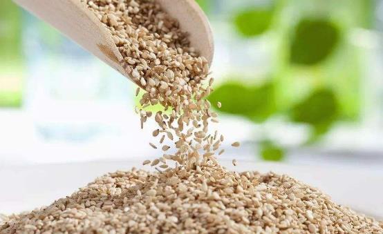 減肥者運動后要補充體力 快速補充體力的8種食物