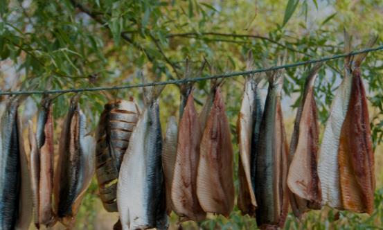 家庭自制魚干的做法 咸魚干最原味的兩種吃法