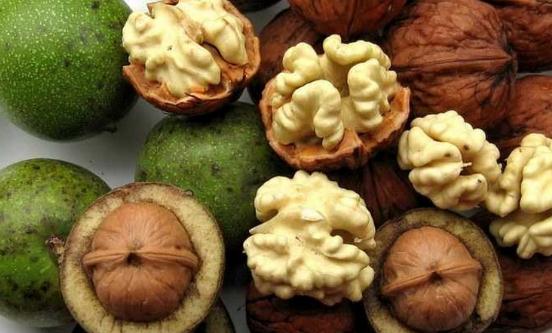 10種堅果營養排行榜 核桃為腦之果護腦標兵