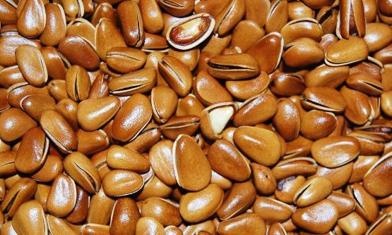 10種堅果營養排行榜 核桃為腦之果護腦標兵