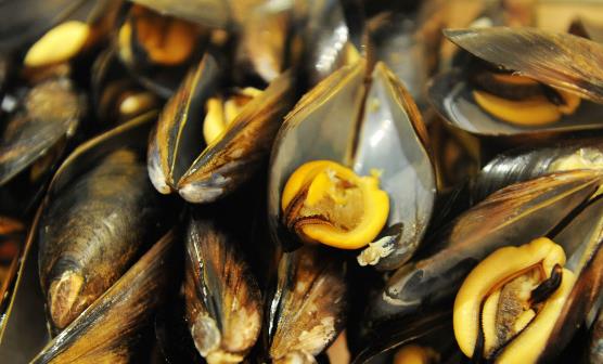 它被稱“海雞蛋”，營養豐富，味道鮮美，價格還便宜，遇到別錯過