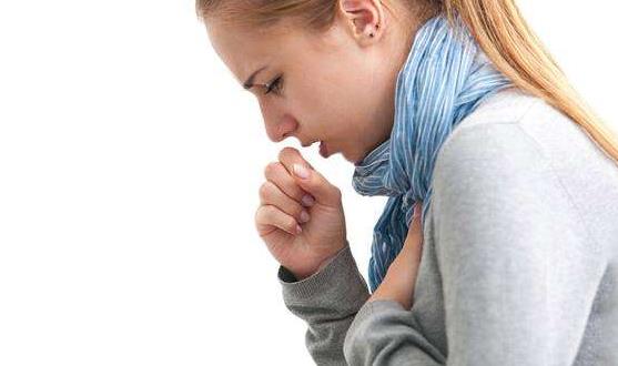 畏寒怕冷需補肺氣 冬季兩款補氣湯推薦