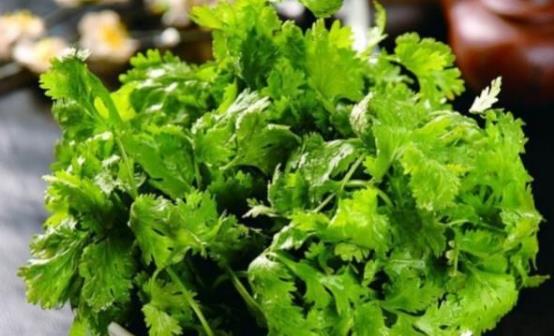 香菜適合秋冬感冒多發季食用 但這幾種人吃卻是沒病找病