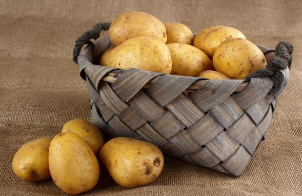 冬天要多吃哪些蔬菜？適宜冬季吃的蔬菜及補血食物推薦