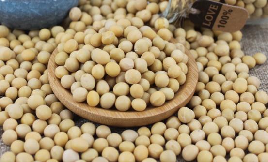 用大豆異黃酮類產(chǎn)品來保養(yǎng)身體 大豆異黃酮對人體的7大作用