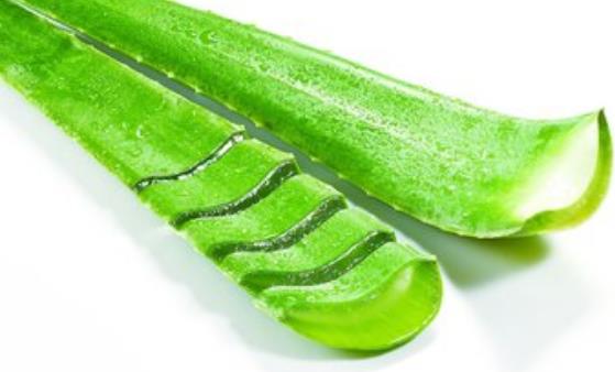 酵素真的很重要 據自身體質情況自制酵素