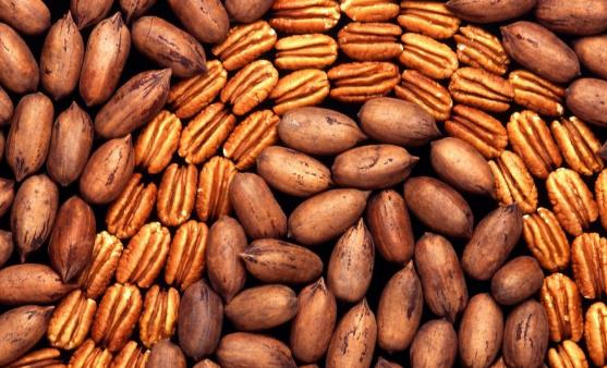 碧根果的功效與作用 食用碧根果不能口無遮攔