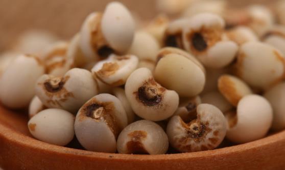 薏米的7點功效與作用 薏米的美味吃法