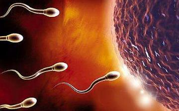 【性欲亢進】男女性性功能亢進的癥狀_性亢進是什么引起的_性亢進怎么調理