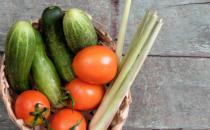 膳食纖維有防病治病功能 膳食纖維抑制結直腸癌的發生機制