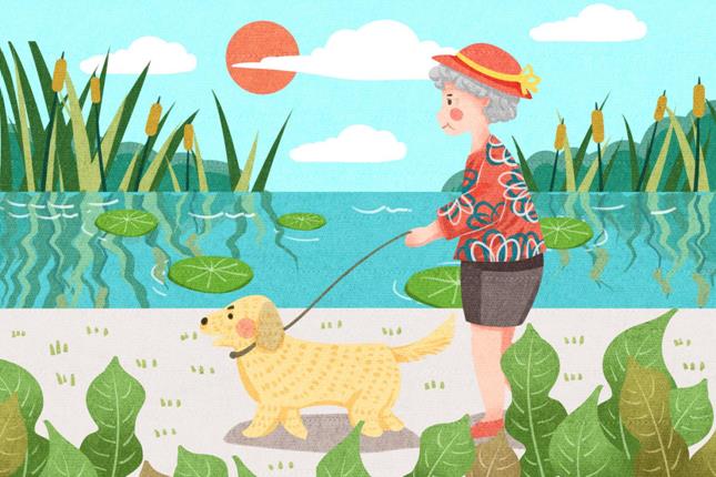 老年人如何增強(qiáng)免疫力？蛋白粉什么牌子好？