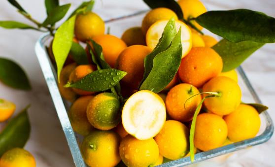 金桔的功效和作用 對增強免疫力有很大的好處
