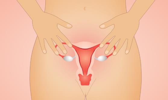 女人宮寒危害多多 推薦幾款調理宮寒的食物