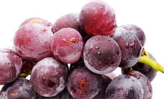 孕婦吃水果的注意事項 四種營養水果食譜補充營養