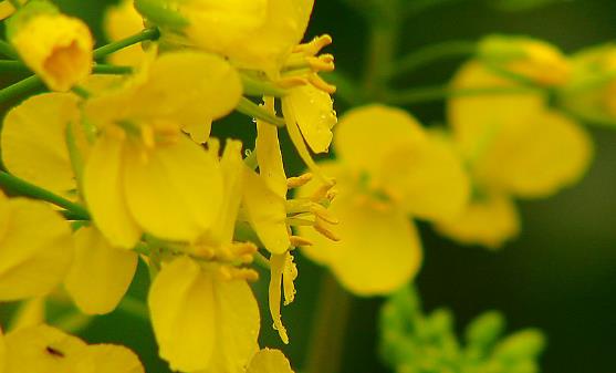 為了孩子的健康 媽媽一定要讓孩子遠離這6種氣味